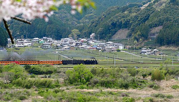 image.jpeg image.jpeg