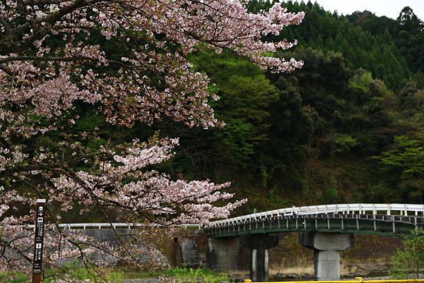 image.jpeg image.jpeg