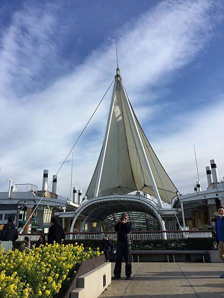 image.jpeg image.jpeg