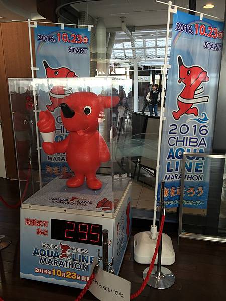 image.jpeg image.jpeg