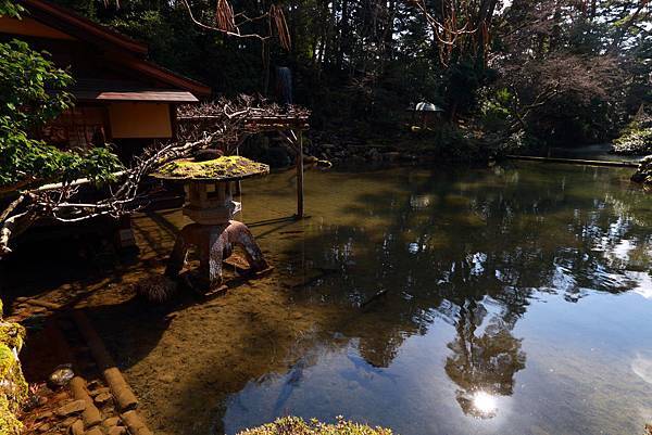 IMG_2150.JPG IMG_2150.JPG