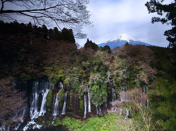 IMG_2917.JPG IMG_2917.JPG