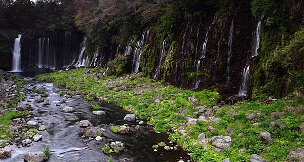 IMG_2892.JPG IMG_2892.JPG