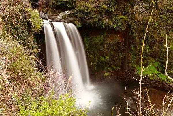 IMG_2823.JPG IMG_2823.JPG