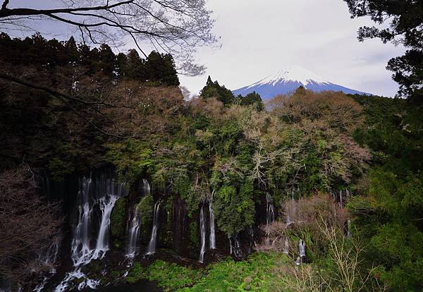 IMG_2931.JPG IMG_2931.JPG