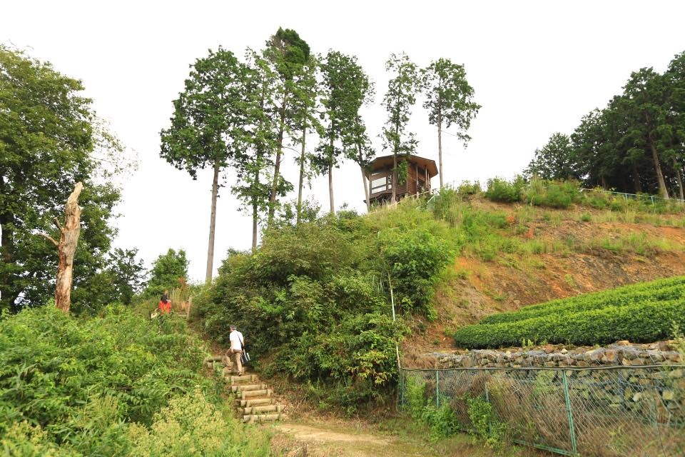 14291767_1145632922170295_2774406959043413630_n.jpg 14291767_1145632922170295_2774406959043413630_n.jpg