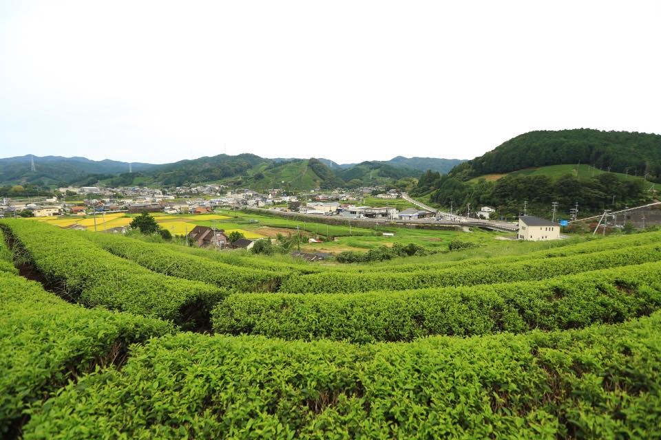 14291830_1145632815503639_830800831275771729_n.jpg 14291830_1145632815503639_830800831275771729_n.jpg