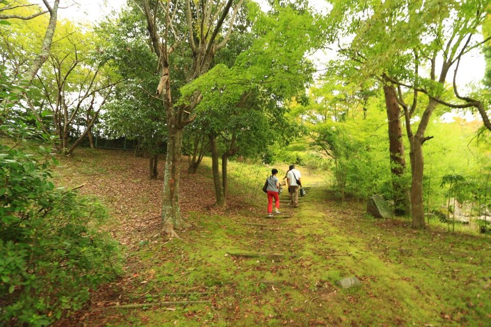 14344305_1145632898836964_7047315249033470604_n.jpg 14344305_1145632898836964_7047315249033470604_n.jpg