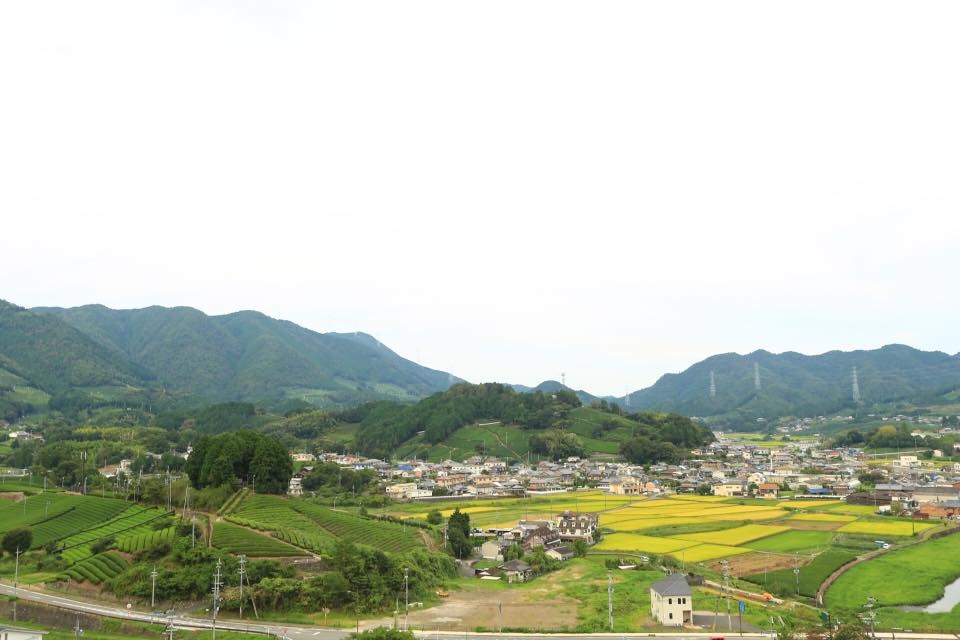 14355693_1145632968836957_1689421901931650685_n.jpg 14355693_1145632968836957_1689421901931650685_n.jpg