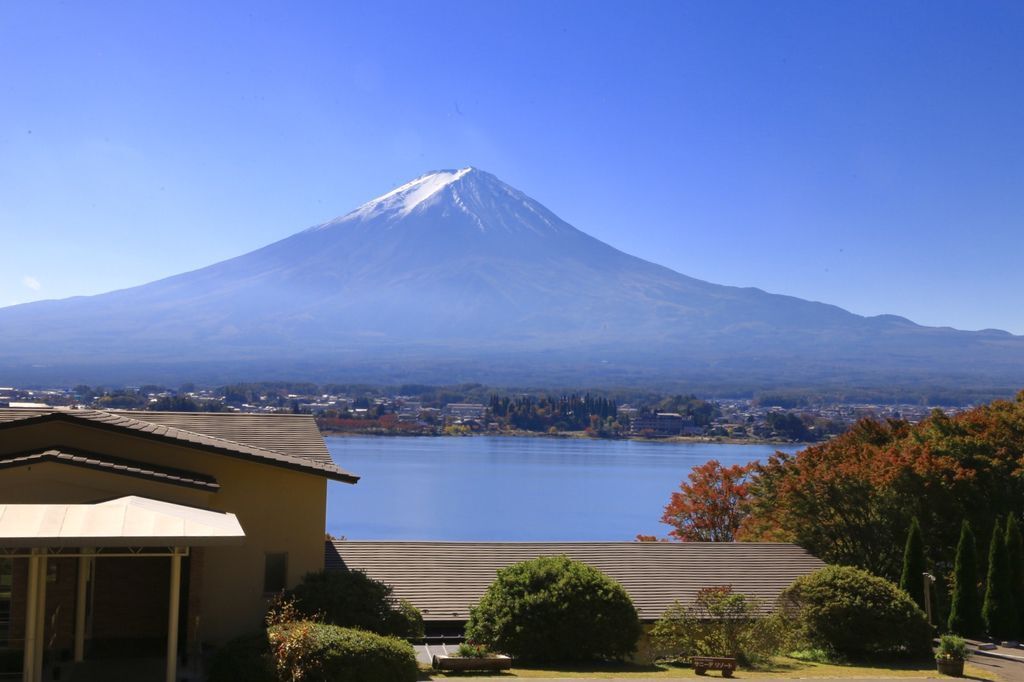 IMG_1220.JPG IMG_1220.JPG