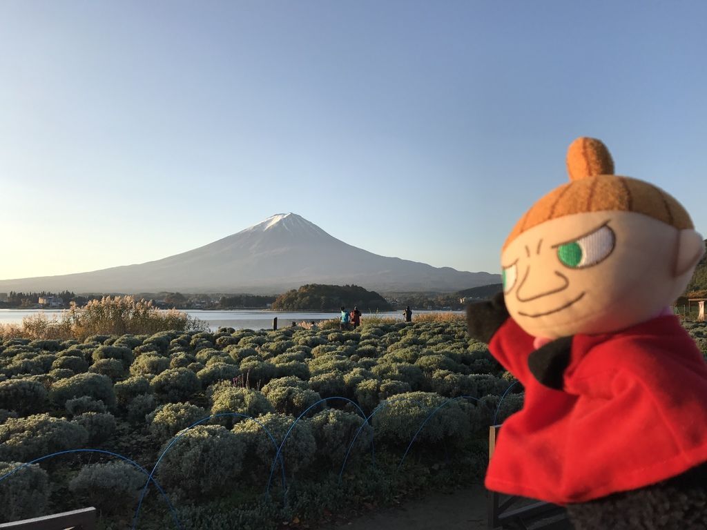 IMG_1312.JPG IMG_1312.JPG