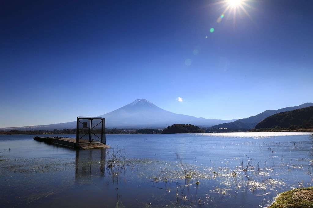 IMG_1223.JPG IMG_1223.JPG