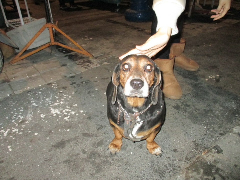 jacky 一家人之變型之旅 jacky 一家人之變型之旅