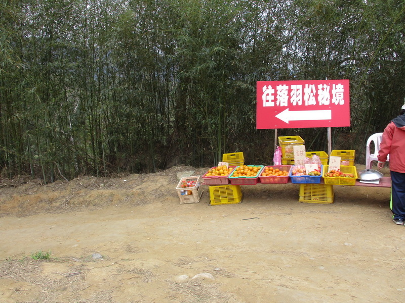 IMG_7437_調整大小.jpg IMG_7437_調整大小.jpg