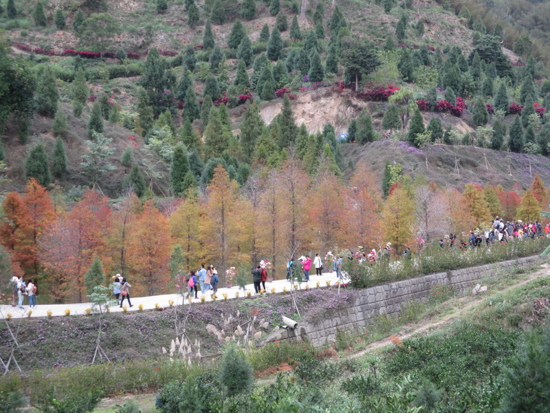 IMG_7456_調整大小(1).jpg IMG_7456_調整大小(1).jpg