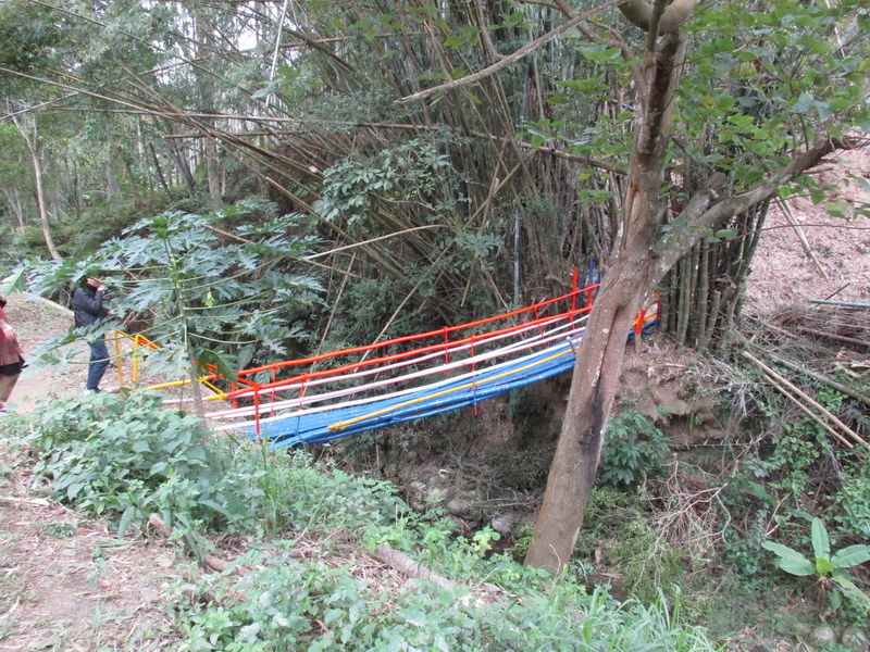 IMG_7446_調整大小.jpg IMG_7446_調整大小.jpg