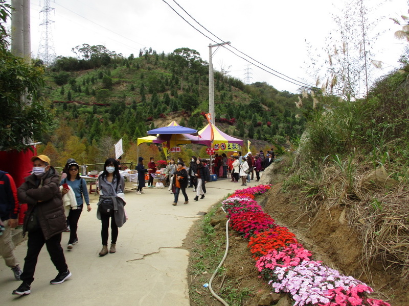 IMG_7462_調整大小.jpg IMG_7462_調整大小.jpg