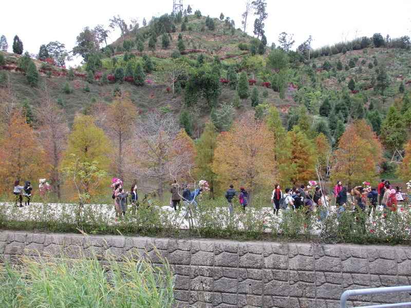 IMG_7466_調整大小.jpg IMG_7466_調整大小.jpg