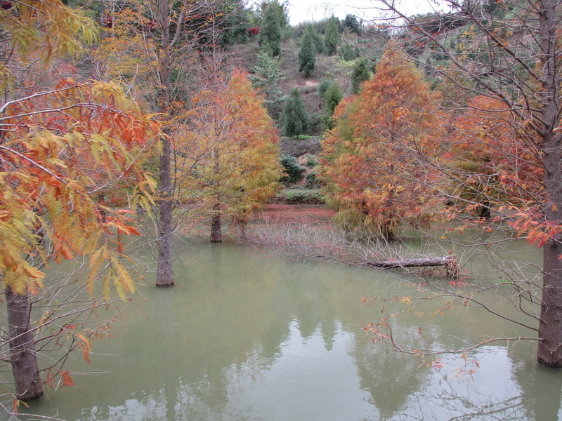 IMG_7474_調整大小.jpg IMG_7474_調整大小.jpg