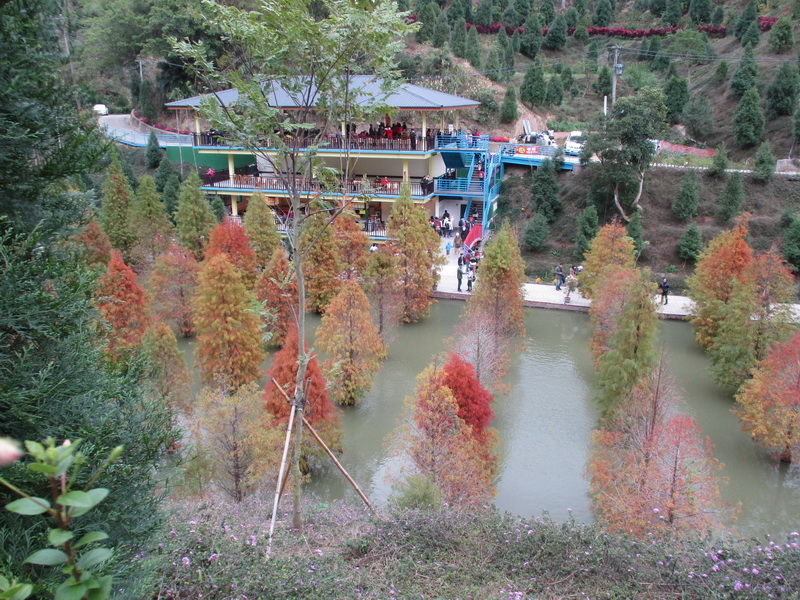 IMG_7497_調整大小.jpg IMG_7497_調整大小.jpg