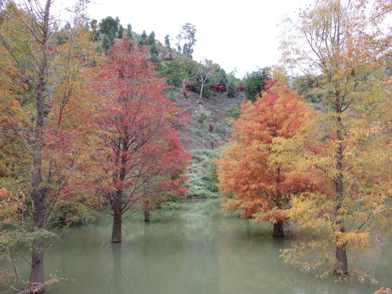 IMG_7481_調整大小.jpg IMG_7481_調整大小.jpg