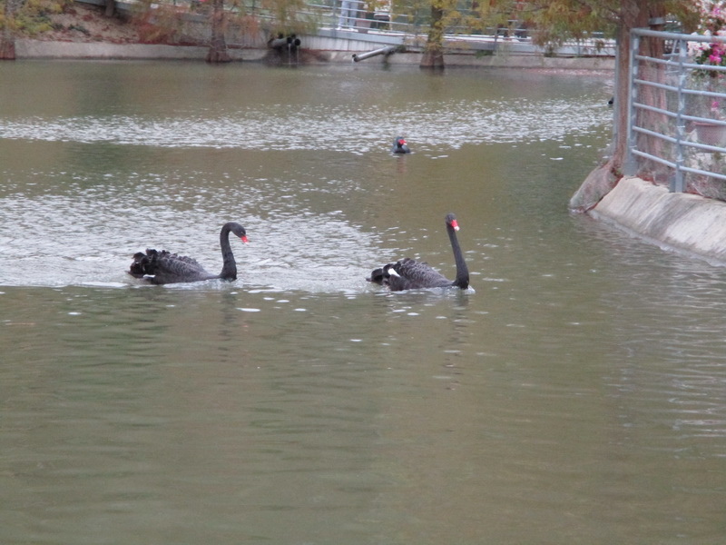 IMG_7527_調整大小.jpg IMG_7527_調整大小.jpg