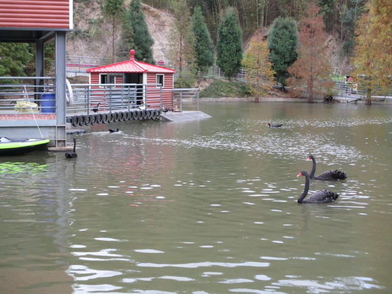 IMG_7529_調整大小.jpg IMG_7529_調整大小.jpg