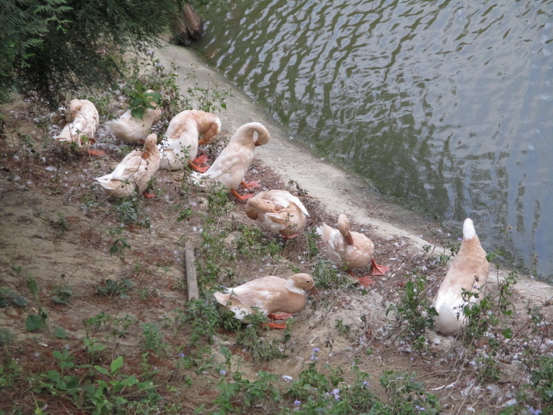 IMG_7534_調整大小.jpg IMG_7534_調整大小.jpg