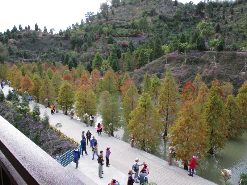 IMG_7555_調整大小.jpg IMG_7555_調整大小.jpg