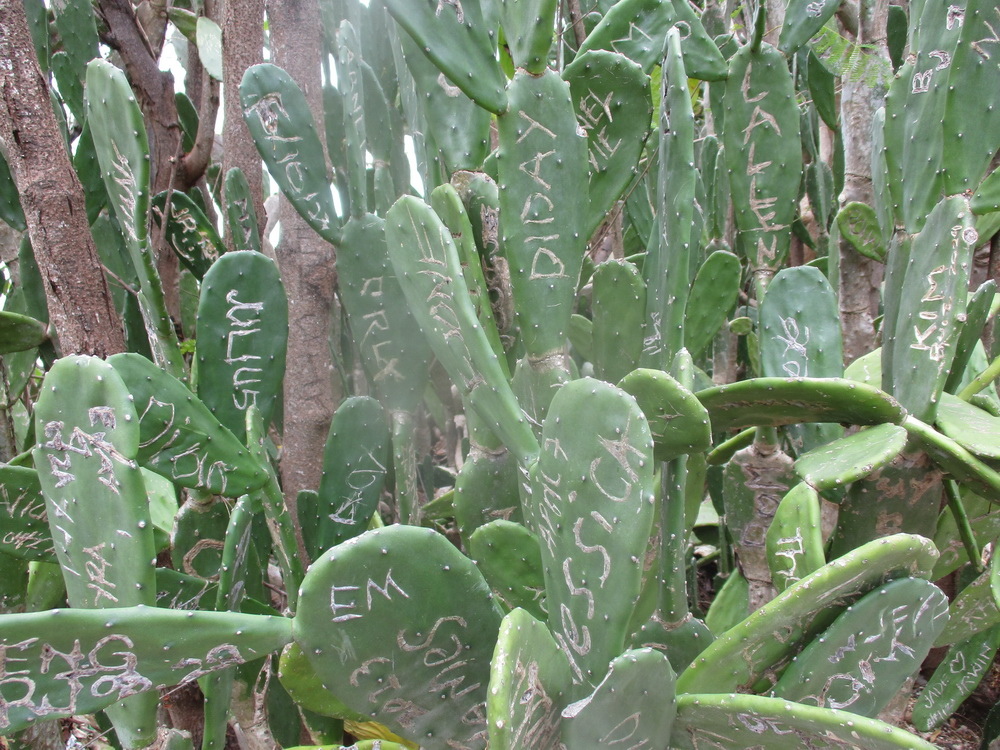 IMG10301-05096_調整大小.JPG IMG10301-05096_調整大小.JPG