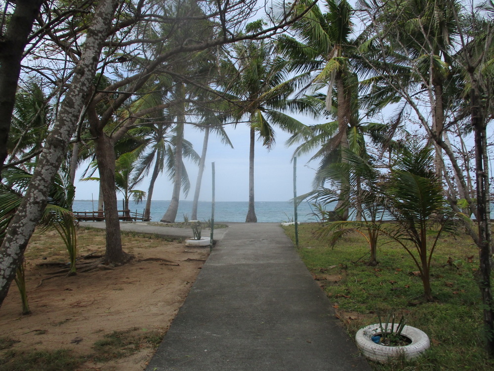 IMG10301-05101_調整大小.JPG IMG10301-05101_調整大小.JPG