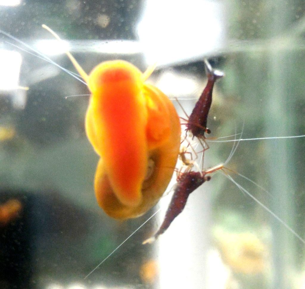 P_20160729_224143_1.jpg P_20160729_224143_1.jpg