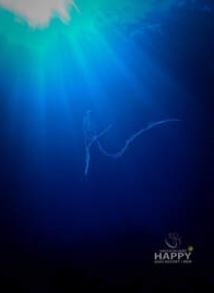 Ludao 2022-11-09 163506.png