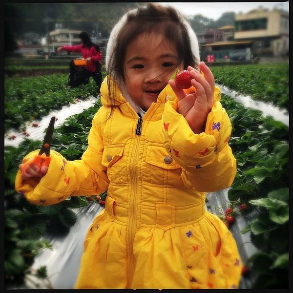 2013-01-17 14.10.51 2013-01-17 14.10.51