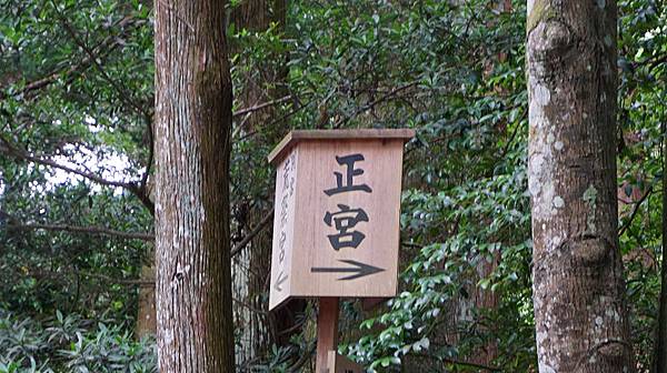 DSC01273.jpg DSC01273.jpg