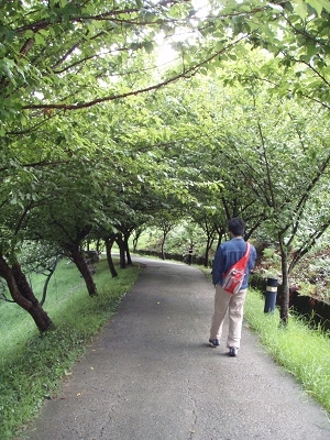 P8011088.jpg