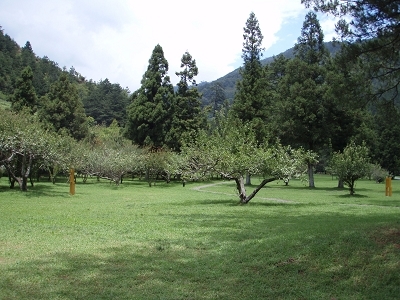 P8021201.jpg