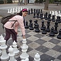 日內瓦公園裡大西洋棋.jpg