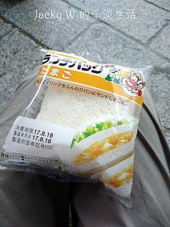 P_20170818_064850.jpg P_20170818_064850.jpg