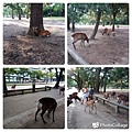 20170820_065655.jpg