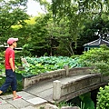 P_20170825_093523_HDR.jpg