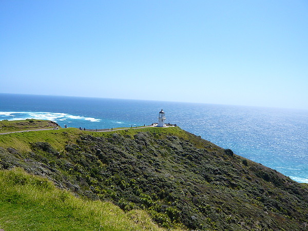 Cape Reinga 3.JPG