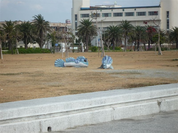 P1000251.JPG P1000251.JPG