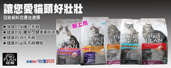 冠能貓飼料banner.jpg