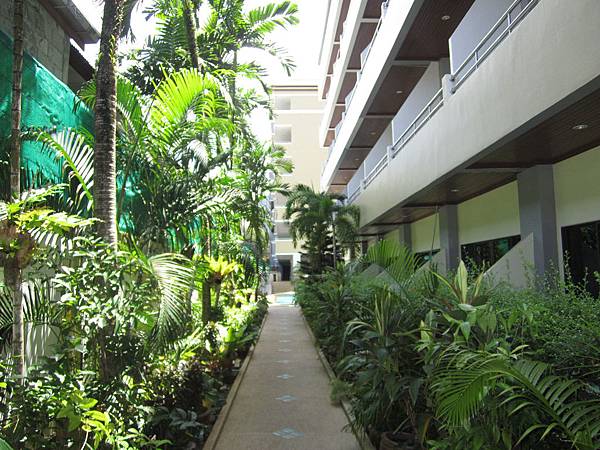 IMG_6632 IMG_6632
