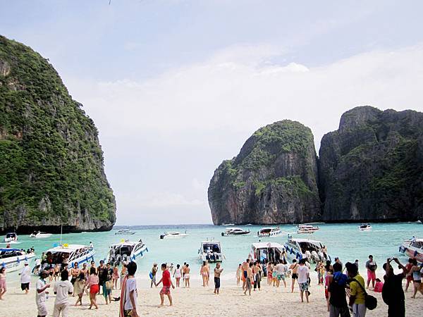 IMG_6446 IMG_6446