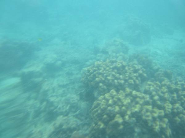 IMG_6510 IMG_6510