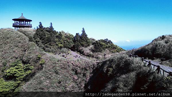 下七星山東峰後的涼亭（往冷水坑）