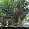 大里天公廟後頭產業道路