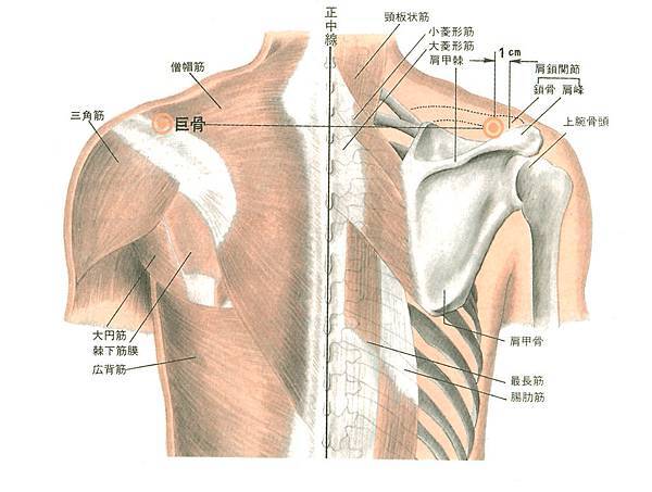 巨骨穴.jpg